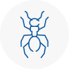Ant Removals In Knaresborough