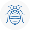 Bed Bug Extermination In Knaresborough