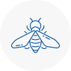 Bee Nest Removal Knaresborough