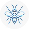Knaresborough Hornet Nest Removals
