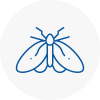 Moth Control Specialists In Knaresborough