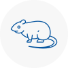Rat Control Knaresborough